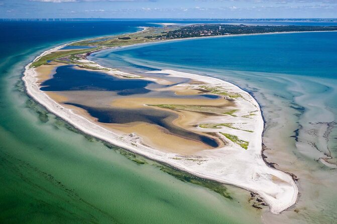 Bird Watching Private Tour in Copenhagen - Choosing between the northern and southern countryside