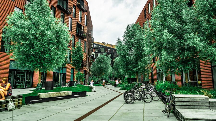 Copenhagen: 1.5-hour Private Walking Tour of Christianshavn - Key points to know before booking
