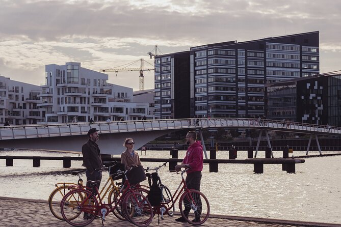 Copenhagen Architecture and Sustainability Tour with local Guide - DR Koncerthuset and Amager Fælled