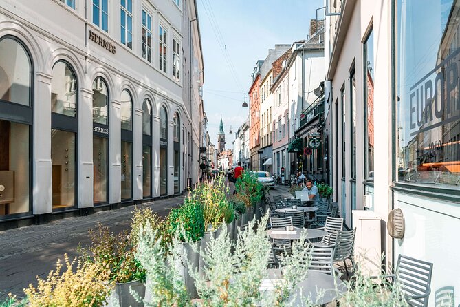Copenhagen & Christiansborg Palace Private Walking Tour - One hour inside Christiansborg Palace
