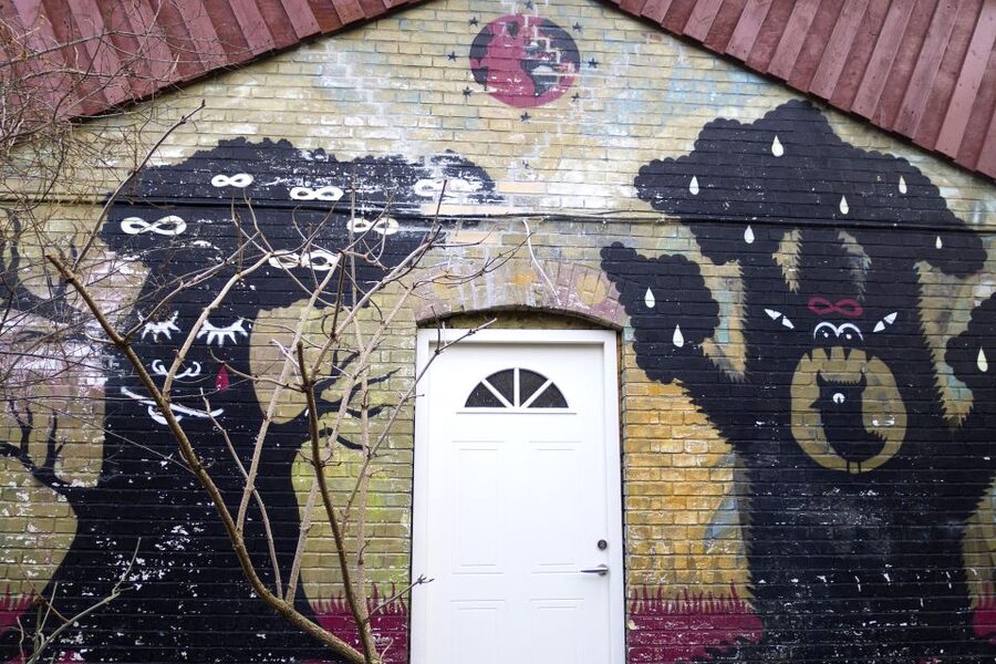 Copenhagen: Guided Tour of Vesterbro and Christianshavn - Christiania, the finale with time to explore alone