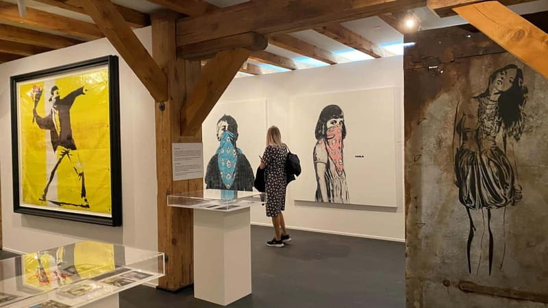 Copenhagen: MACA Art Museum Entry Ticket - Key things to know before you go