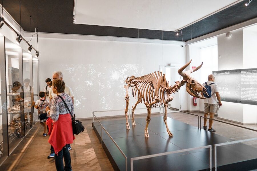 Copenhagen: National Museum of Denmark Entry Ticket - Key points to know before you go