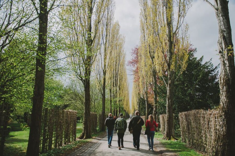 Copenhagen: Nørrebro Neighborhood Tour - A local treat with a taste of Copenhagen’s food scene