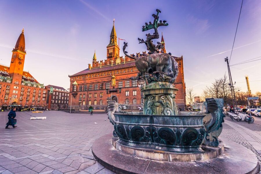 Copenhagen: Old Town and Nyhavn Private Family Tour - Key points to know before booking