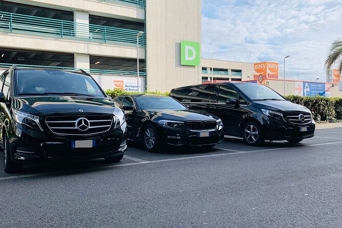 Copenhagen Port to Copenhagen hotel - Private Round-Trip Transfer - Why a Private Copenhagen Port Transfer Can Be Worth It