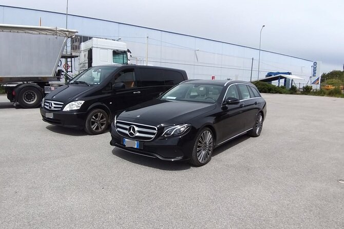 Copenhagen Port to Copenhagen hotel - Private Round-Trip Transfer - Arrival at the Correct Terminal