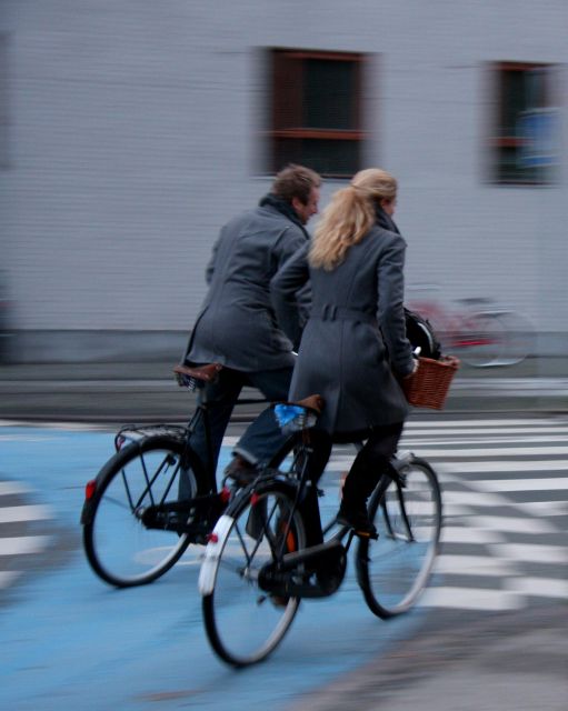 Copenhagen Private 3h biking tour - Practical tips for a smoother ride