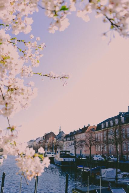 Copenhagen private 3h walking tour - What guide Diana suggests about the experience