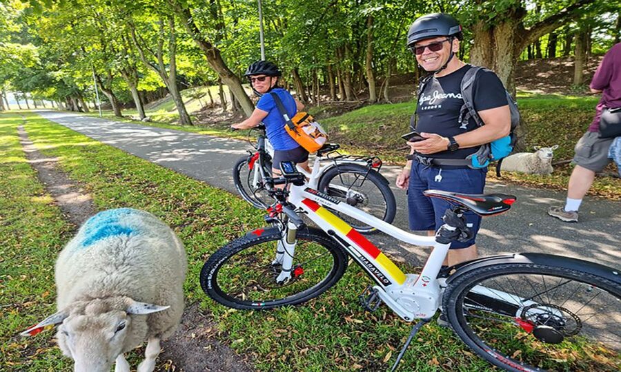 Copenhagen: Private Forgotten Giants E-Bike Treasure Hunt - Albertslund and the return ride