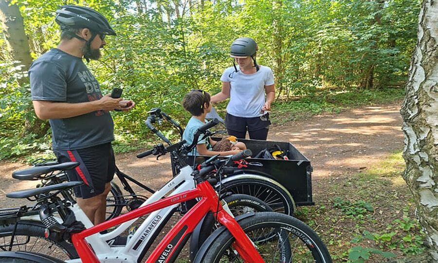 Copenhagen: Private Forgotten Giants E-Bike Treasure Hunt - Thomas Dambo’s giants and recycled art