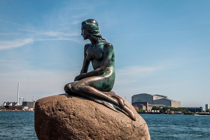 Copenhagen Private Full Day Tour with Lunch Option - Who should book this Copenhagen walking tour?
