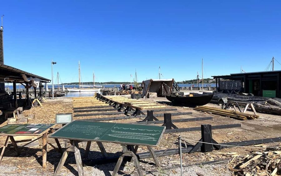 Copenhagen: Roskilde, the Viking City Tour in English - Key points to know before you book