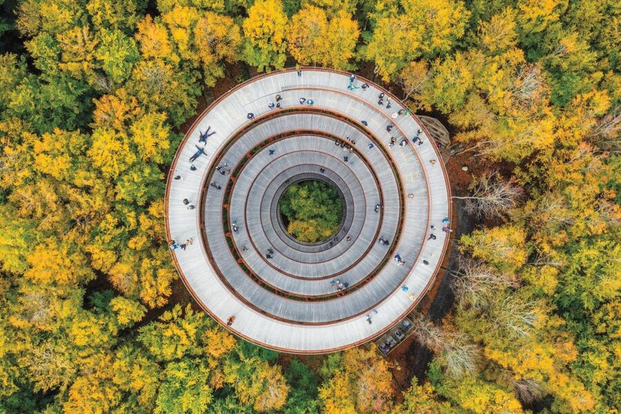 Copenhagen: The Forest Tower & Forgotten Giants Trolls Trip - A short break at Skovtårnsvej 1