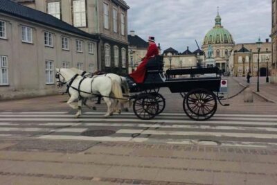 Copenhagen Walking Tour with Food Testing (smorrebrod dish & snap)