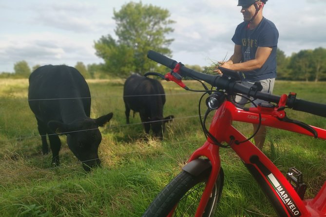 E-biking Central Forgotten Giants' s Adventure - Starting at Bådehavnsgade 42P