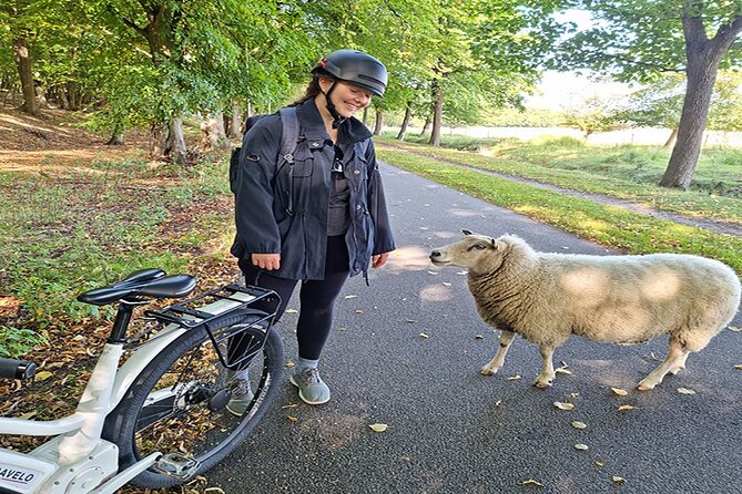 E-biking Northern Forgotten Giants' s Adventure - Thomas on the Mountain adds the strongest scenic setting