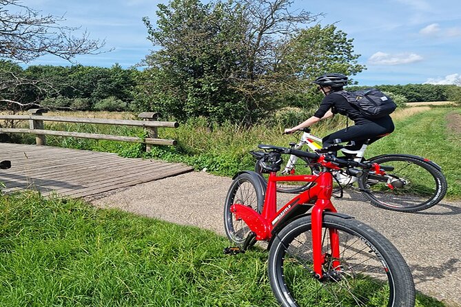 E-biking Northern Forgotten Giants' s Adventure - What a private guide adds to the ride