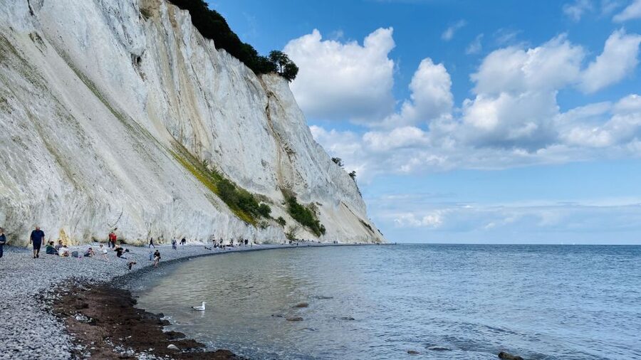 From Copenhagen: Round-Trip to Møns Klint and Forest Tower - How the timing works across eight hours