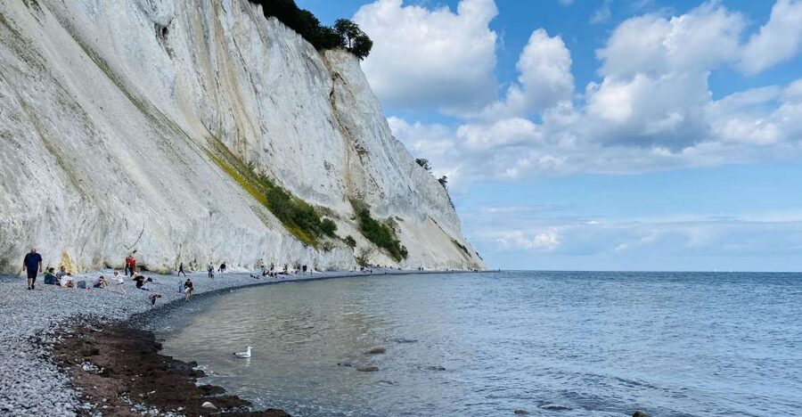 From Copenhagen: Round-Trip to Møns Klint and Forest Tower - What the $112 price really buys you