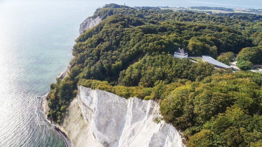 From Copenhagen: Round-Trip to Møns Klint and Forest Tower - Forest Tower: a gentle climb with a modern shape