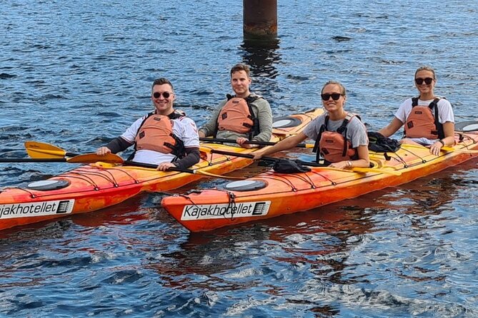 Kayak Tour in Copenhagen Harbor in May and September - Starting at Kalvebod Bølge