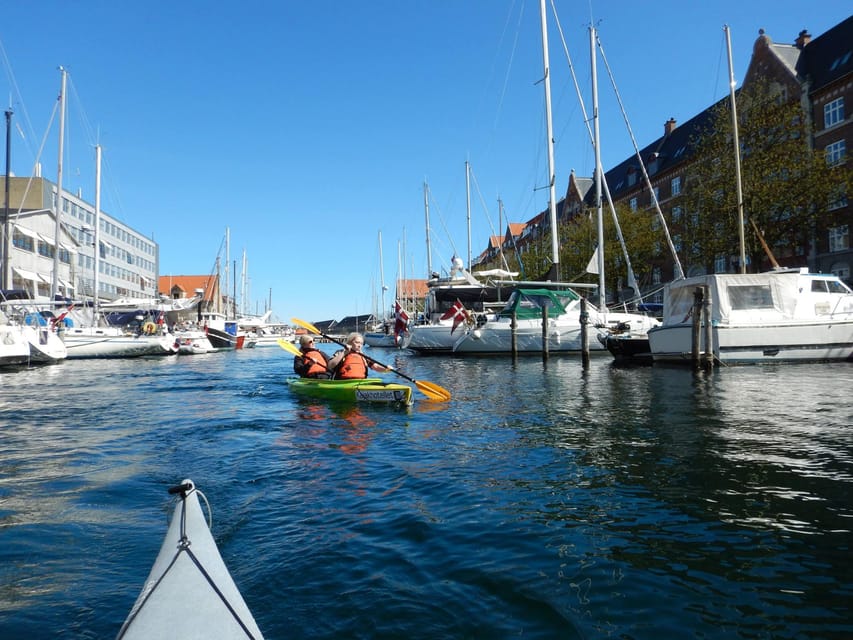 Kayak Tour in Copenhagen Harbor - June, July and August - What the Stable Double Kayaks Feel Like