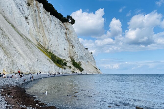 Møns klint and The Forest tower - A day tour from Copenhagen - The day at a glance