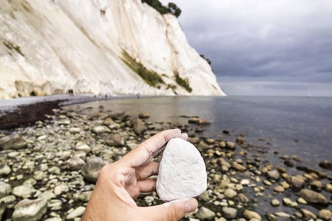Møns klint and The Forest tower - A day tour from Copenhagen - The minibus, guide, and group size