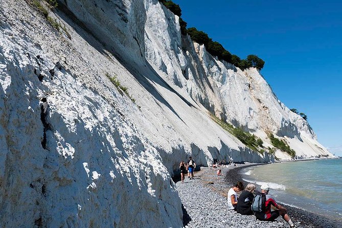 Møns klint and The Forest tower - A day tour from Copenhagen - Is $227.45 a fair price?