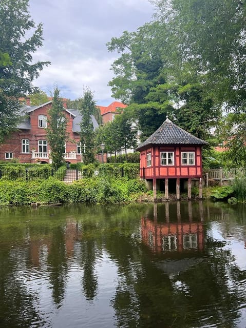 Odense: Guided tour guide in Spanish - Nonnebakken and the Viking foundations of Odense