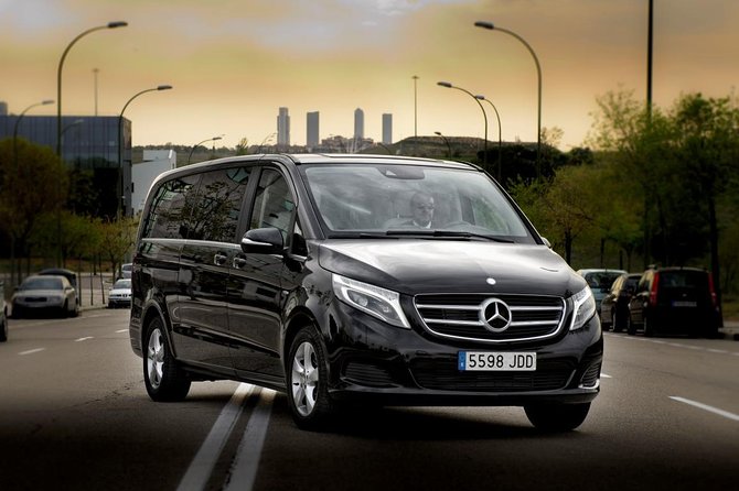 Private Luxury Van Departure from Copenhagen to Copenhagen Port - Leaving central Copenhagen without the luggage shuffle