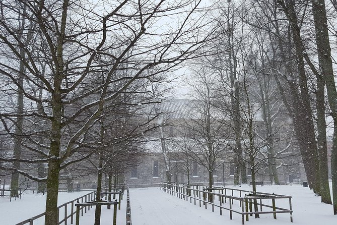 Private tour Copenhagen to Lund & Malmö City daytrip - What the $1,450 group price really buys