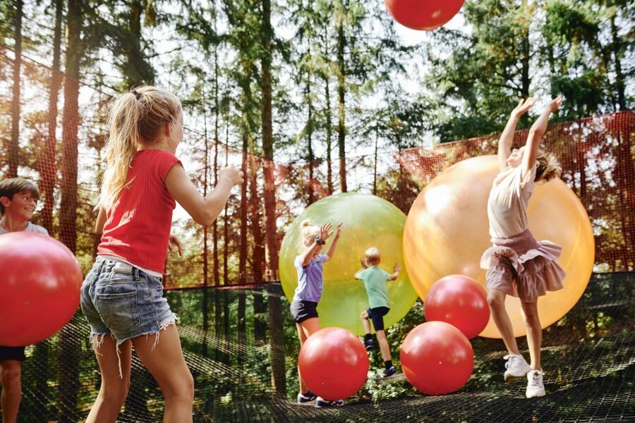 Skjern: WOW PARK Entry Ticket - Ziplines, bridges, and slides for active play