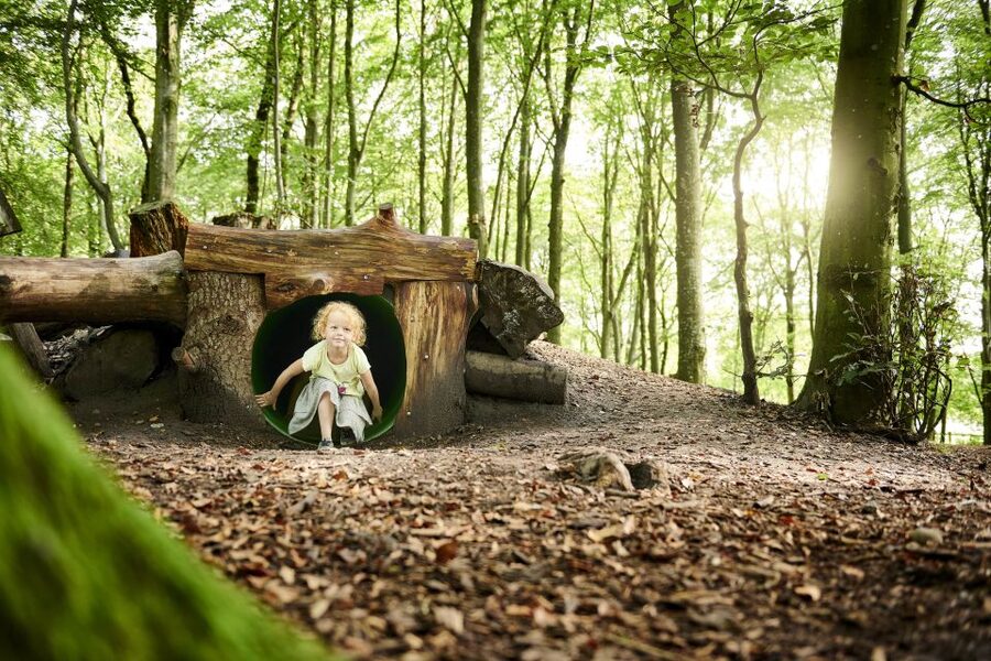 Skjern: WOW PARK Entry Ticket - Finding your own route through the forest
