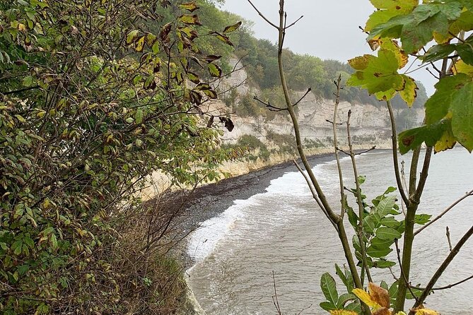Stevns Klint UNESCO World Heritage Site Tour from Copenhagen - Stevns Klint: the main event