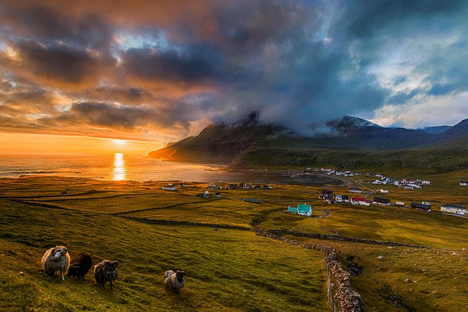 Súðuroy Island Day Tour, Faroe Islands - Lunch in Tvøroyri breaks up the sightseeing